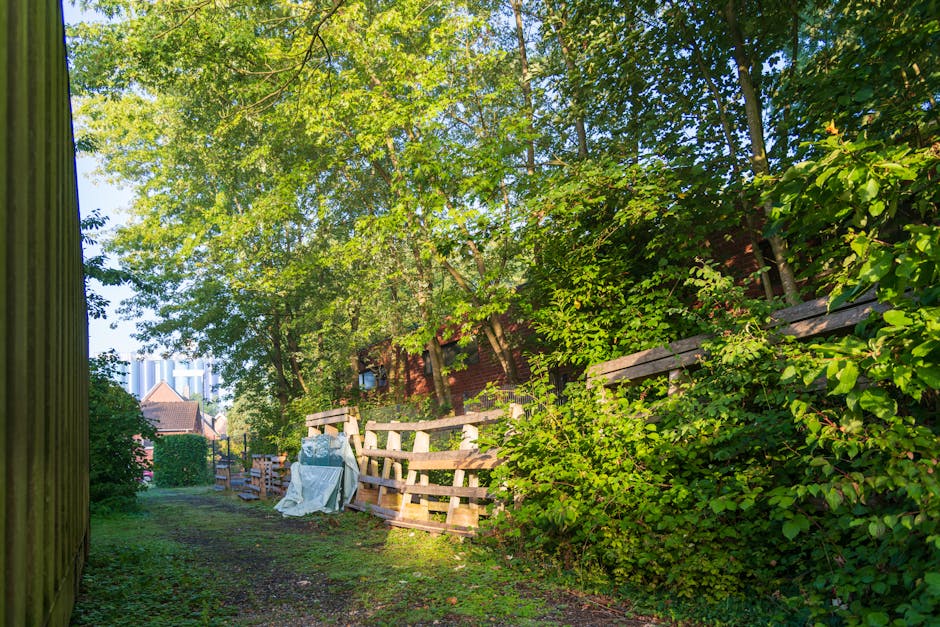A narrow outdoor area with a dirt and grass pathway bordered by a tall wooden fence on the left and a dense hedge on the right comprising green leaves of various sizes. Behind the hedge, mature trees with abundant bright green foliage extend their branches overhead, creating partial shade. In the middle ground, there are several wooden pallets leaning against the hedge, some stacked, with a large white plastic bag or sheet draped over part of them, possibly containing garden waste. The background shows additional residential buildings with brick walls and pitched roofs, indicating a suburban setting. The scene is illuminated by natural daylight, highlighting the lush greenery and providing a clear view of the varied textures and colors of the foliage, wood, and other materials, fitting within the context of a private garden area suited for rubbish or garden waste collection, managed by Waste Disposal Harringay.