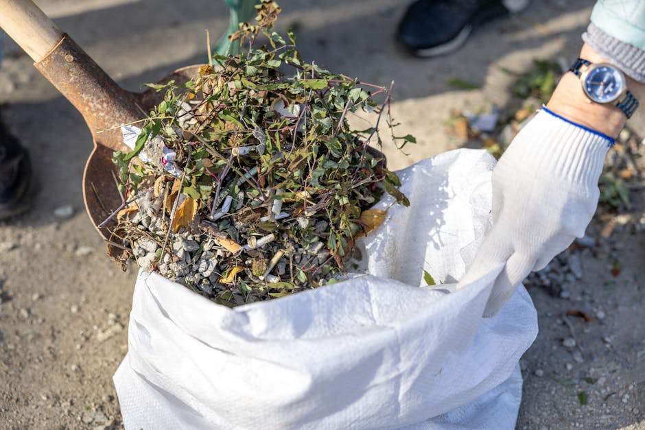A person wearing a white glove and a wristwatch is holding a large white sack filled with garden waste, including green ivy stems, small branches, and dried leaves. The person is using a metal shovel with a rusted blade to gather the organic debris, which appears to be a mix of plant material and small stones. The scene is set outdoors on a gravel surface, with shadows suggesting natural daylight. Surrounding elements are blurred but indicate an open outdoor environment, possibly a garden or a yard. The image relates to waste disposal activities, highlighting practical aspects of rubbish collection and on-site clearance handled by services like Waste Disposal Harringay, especially regarding garden pruning and organic waste removal.
